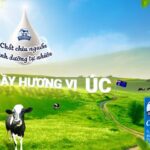 Advertising Banner Vector Art, Icons, and Graphics for Free Download